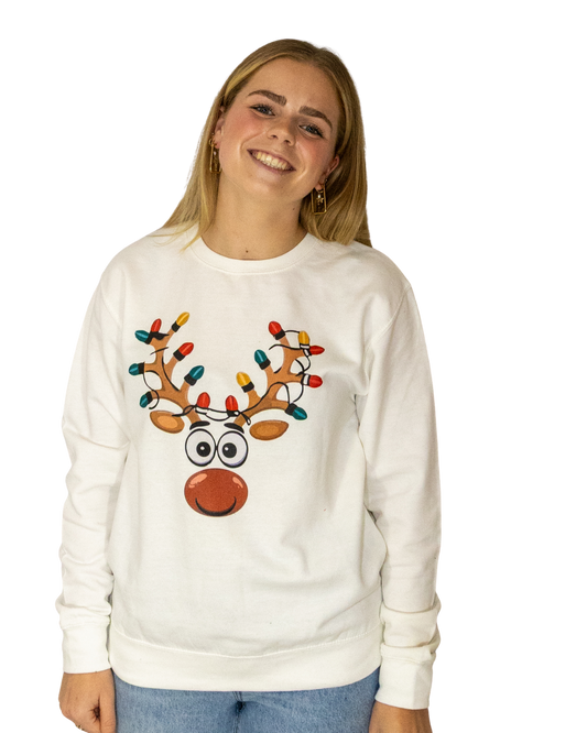 Sweater Rendier kerstlampjes