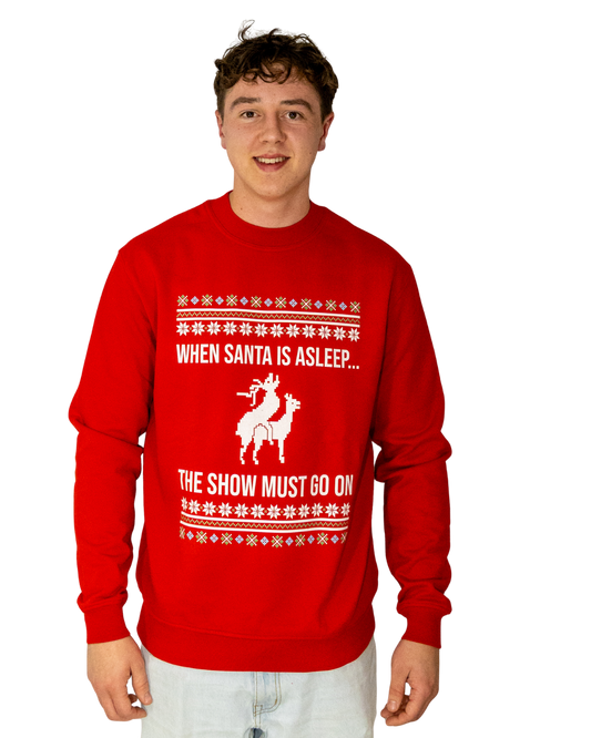 Sweater wenn santa is asleep
